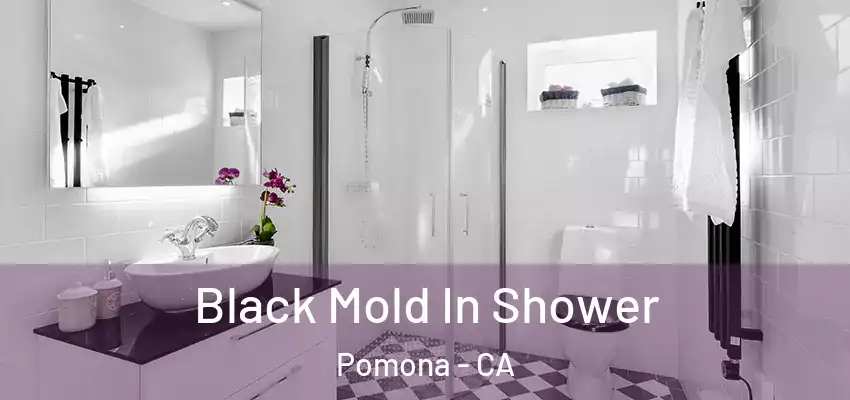  Black Mold In Shower Pomona - CA