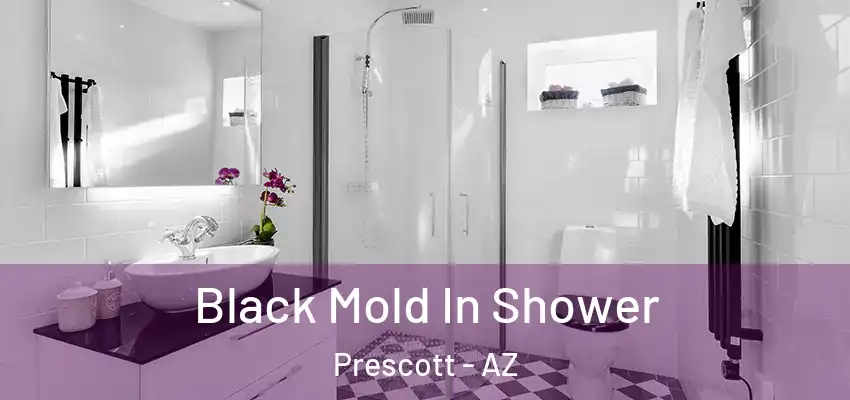  Black Mold In Shower Prescott - AZ