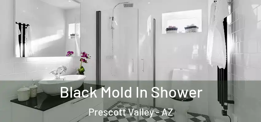  Black Mold In Shower Prescott Valley - AZ