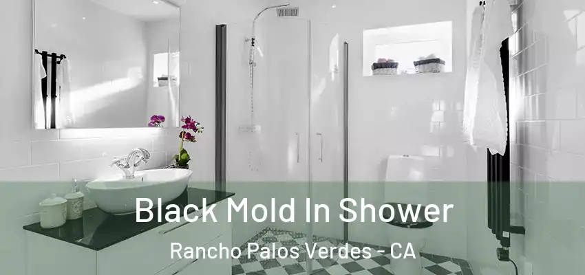  Black Mold In Shower Rancho Palos Verdes - CA