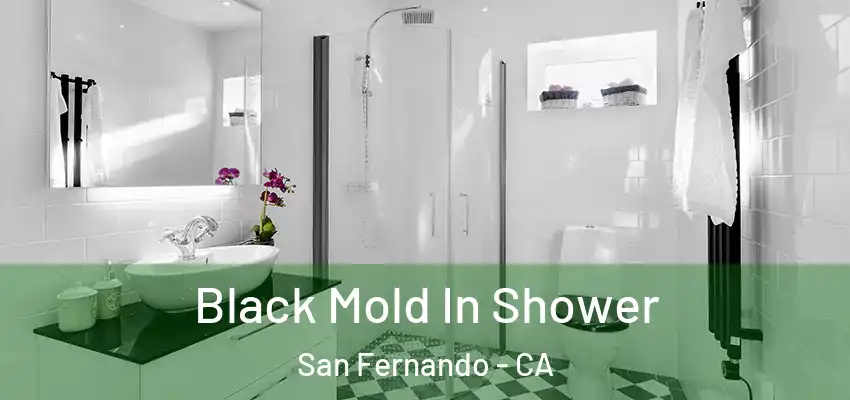  Black Mold In Shower San Fernando - CA