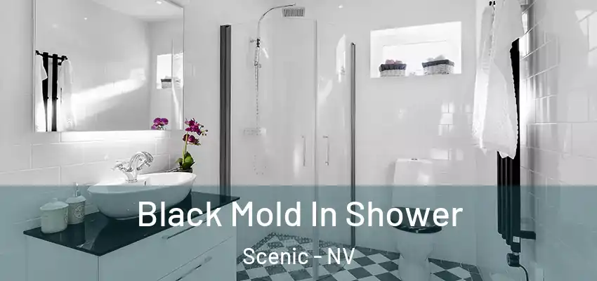  Black Mold In Shower Scenic - NV