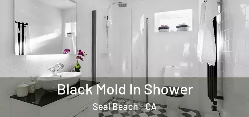  Black Mold In Shower Seal Beach - CA