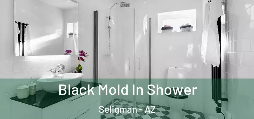 Black Mold In Shower Seligman - AZ
