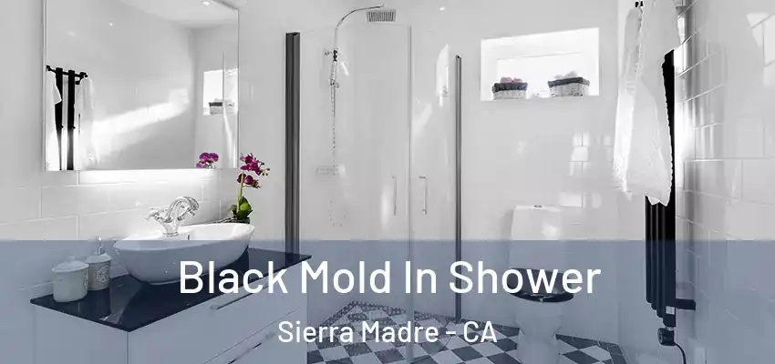  Black Mold In Shower Sierra Madre - CA