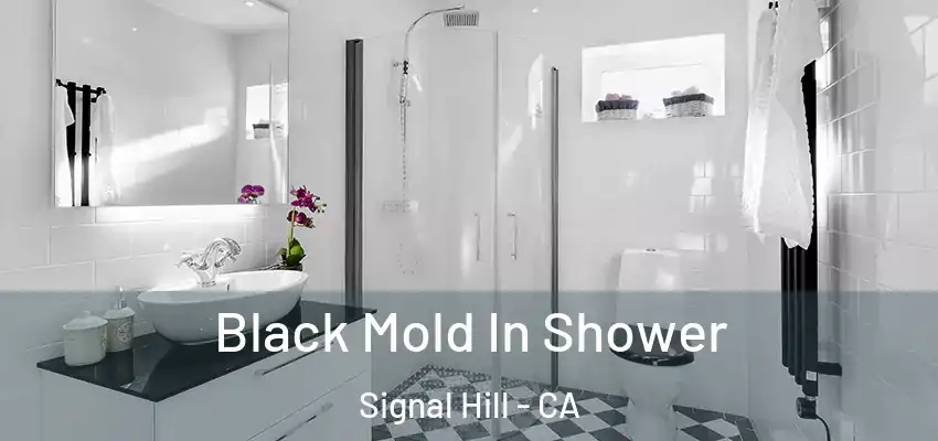  Black Mold In Shower Signal Hill - CA