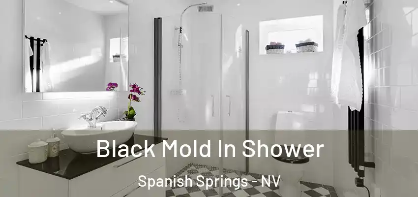  Black Mold In Shower Spanish Springs - NV