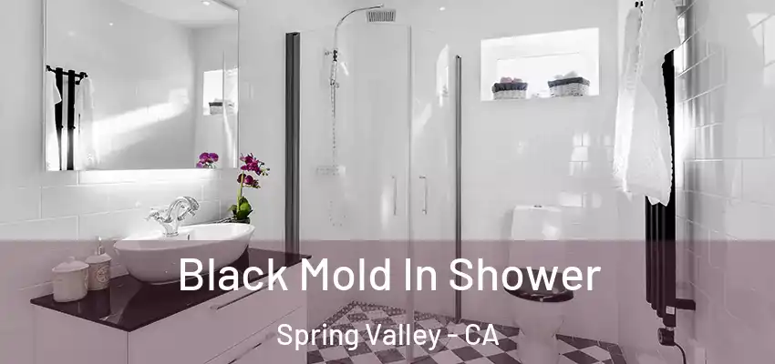 Black Mold In Shower Spring Valley - CA