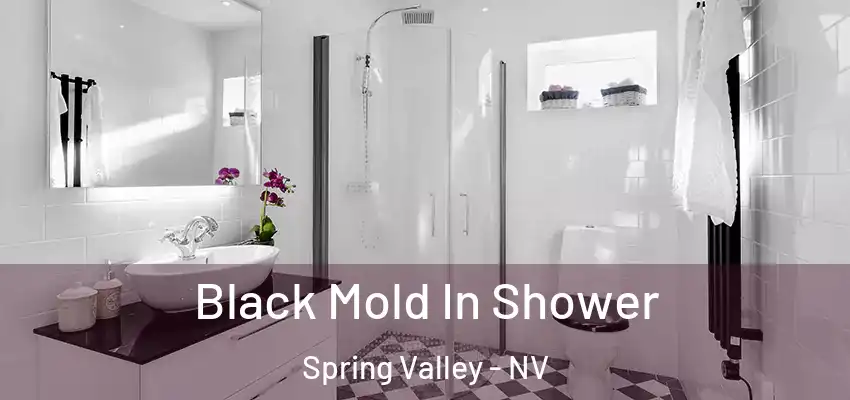  Black Mold In Shower Spring Valley - NV