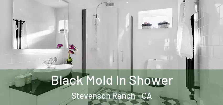  Black Mold In Shower Stevenson Ranch - CA