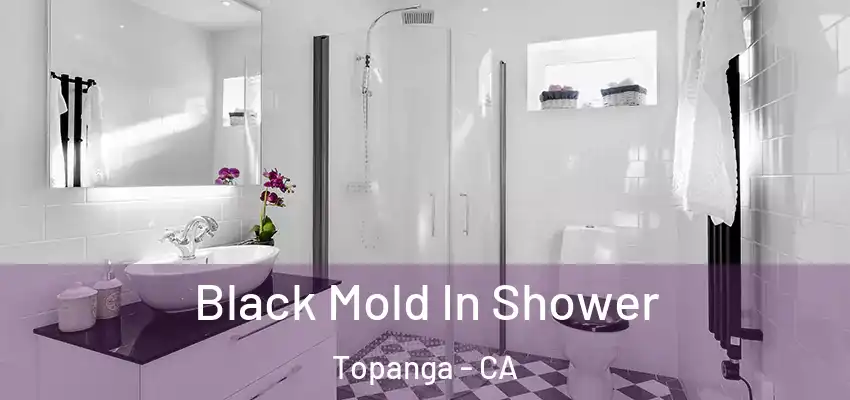 Black Mold In Shower Topanga - CA