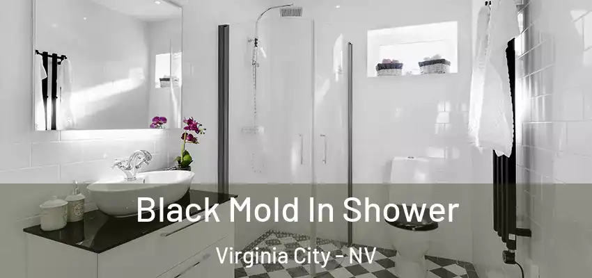 Black Mold In Shower Virginia City - NV