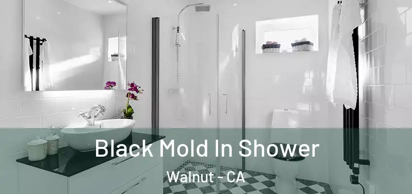  Black Mold In Shower Walnut - CA