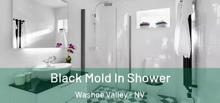  Black Mold In Shower Washoe Valley - NV