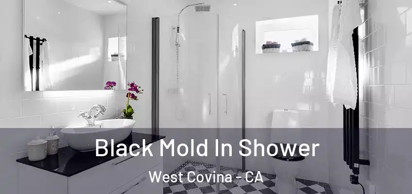  Black Mold In Shower West Covina - CA