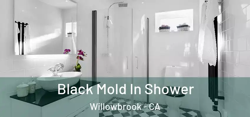  Black Mold In Shower Willowbrook - CA