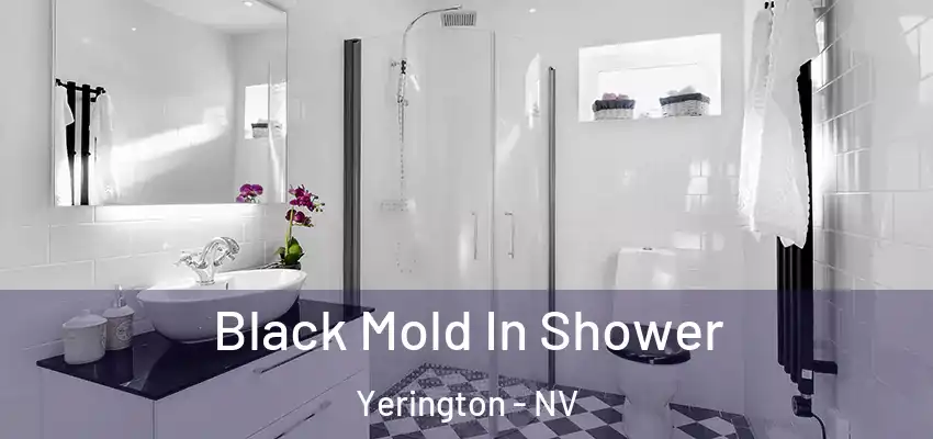  Black Mold In Shower Yerington - NV