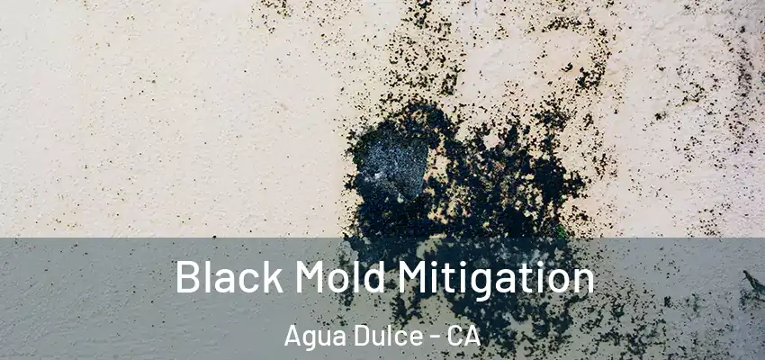  Black Mold Mitigation Agua Dulce - CA