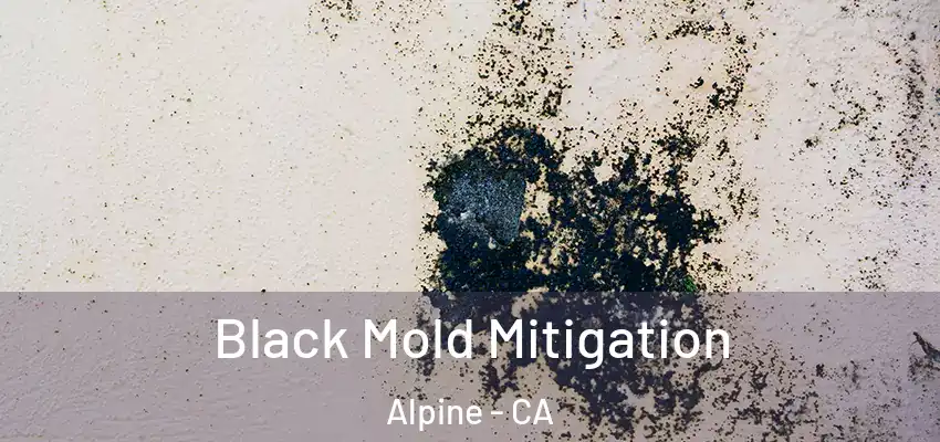  Black Mold Mitigation Alpine - CA