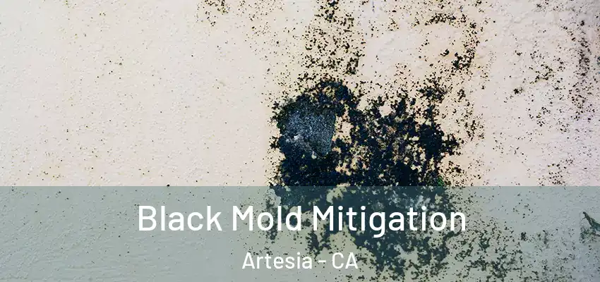 Black Mold Mitigation Artesia - CA