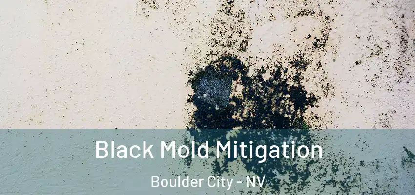  Black Mold Mitigation Boulder City - NV