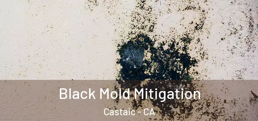  Black Mold Mitigation Castaic - CA