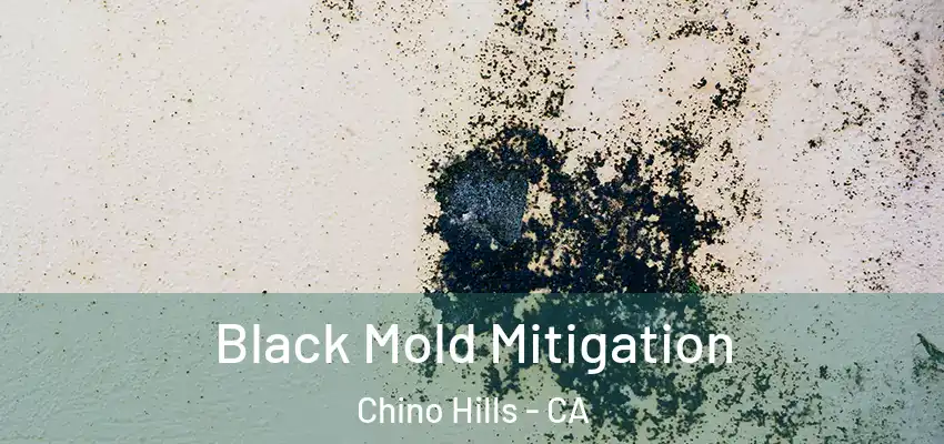  Black Mold Mitigation Chino Hills - CA