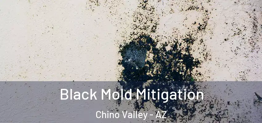 Black Mold Mitigation Chino Valley - AZ