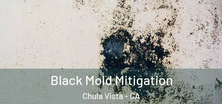  Black Mold Mitigation Chula Vista - CA
