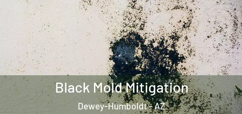 Black Mold Mitigation Dewey-Humboldt - AZ