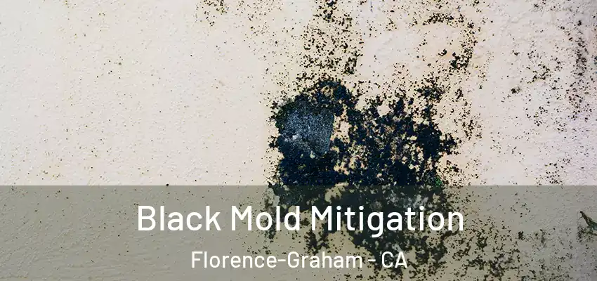  Black Mold Mitigation Florence-Graham - CA