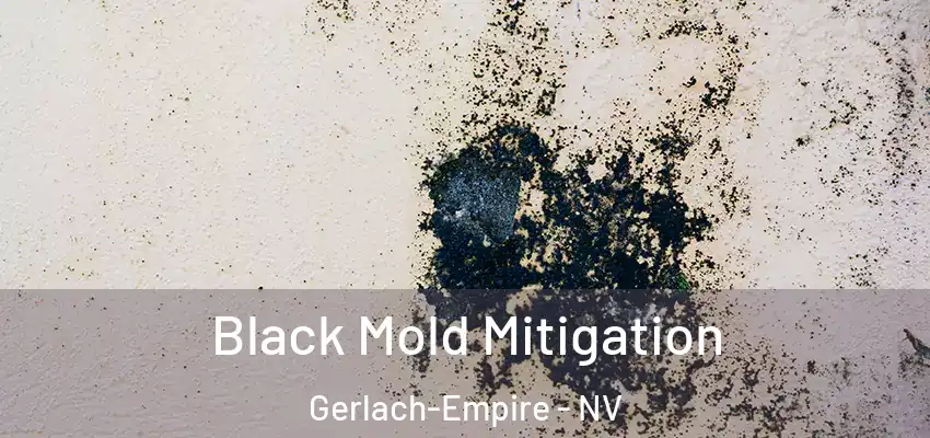 Black Mold Mitigation Gerlach-Empire - NV
