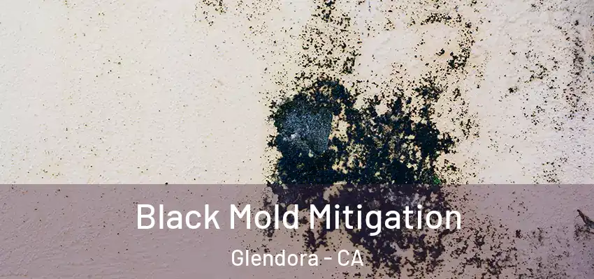  Black Mold Mitigation Glendora - CA