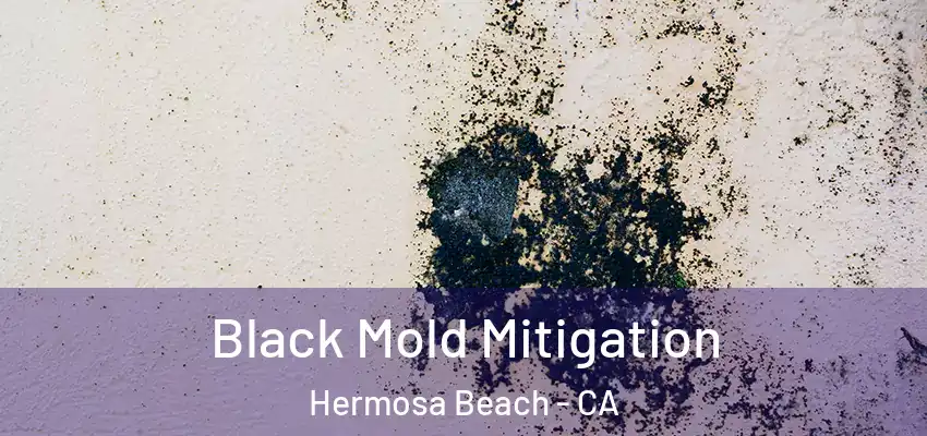  Black Mold Mitigation Hermosa Beach - CA