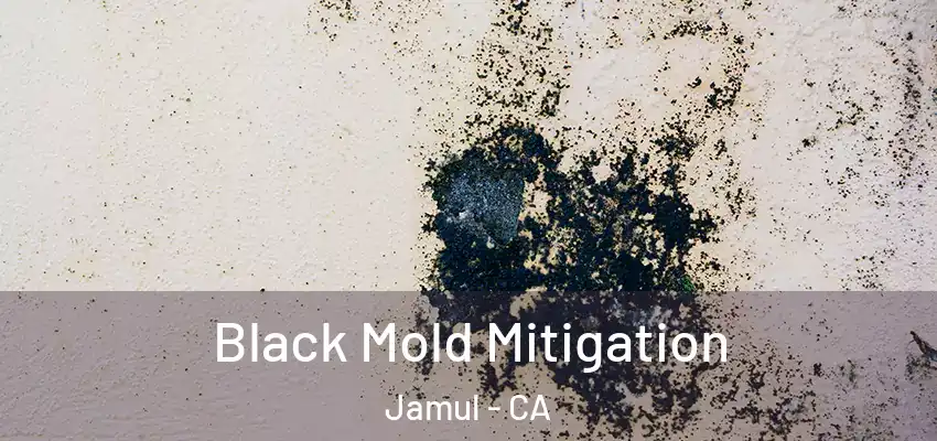  Black Mold Mitigation Jamul - CA