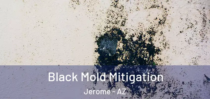  Black Mold Mitigation Jerome - AZ