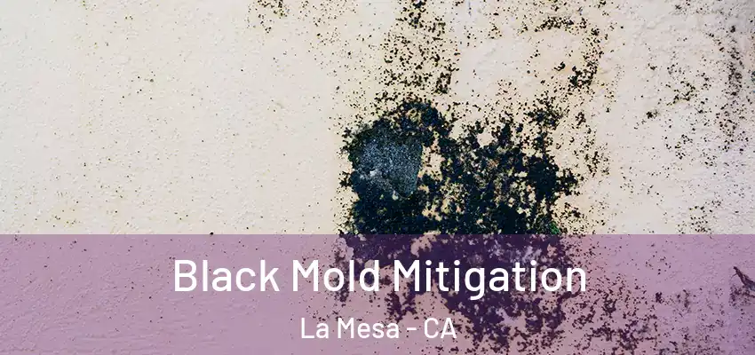  Black Mold Mitigation La Mesa - CA