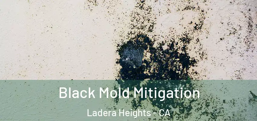  Black Mold Mitigation Ladera Heights - CA