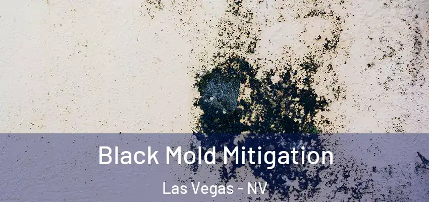 Black Mold Mitigation Las Vegas - NV