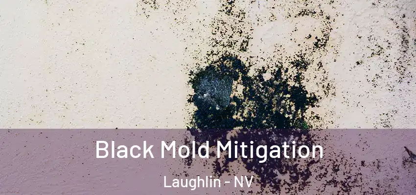  Black Mold Mitigation Laughlin - NV