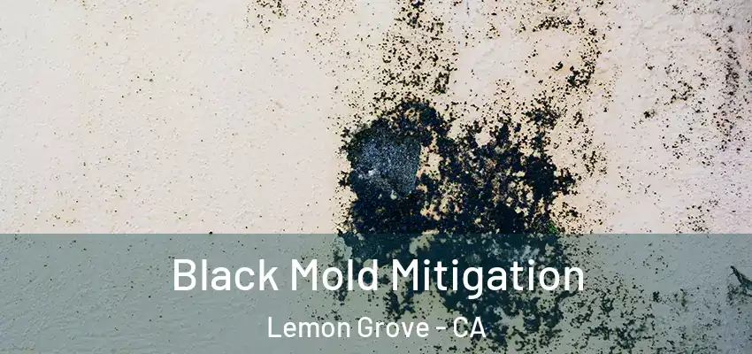 Black Mold Mitigation Lemon Grove - CA