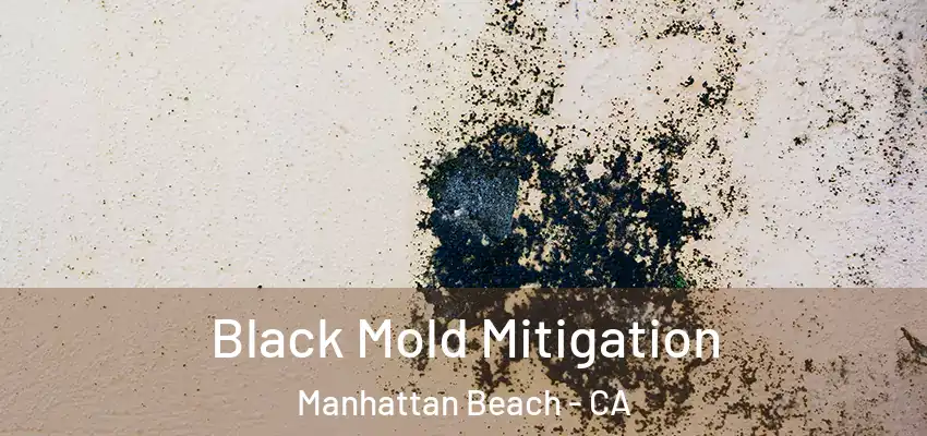  Black Mold Mitigation Manhattan Beach - CA