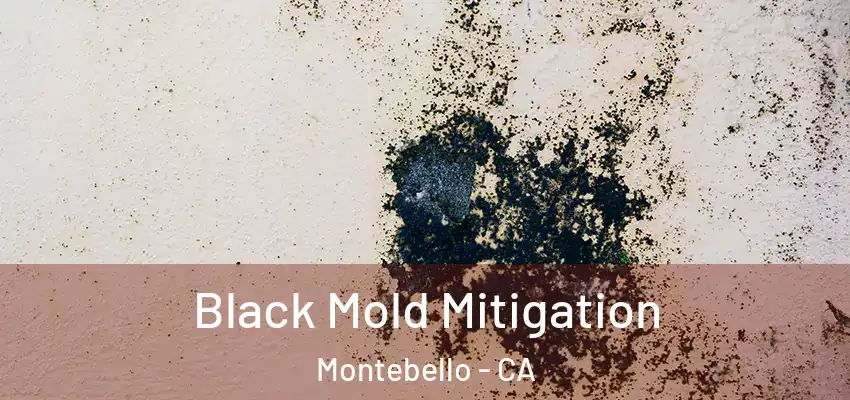 Black Mold Mitigation Montebello - CA