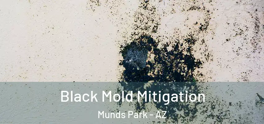  Black Mold Mitigation Munds Park - AZ