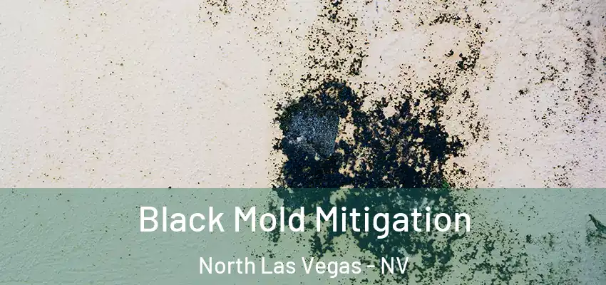  Black Mold Mitigation North Las Vegas - NV