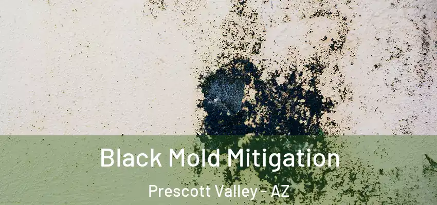  Black Mold Mitigation Prescott Valley - AZ