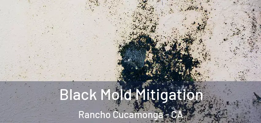  Black Mold Mitigation Rancho Cucamonga - CA