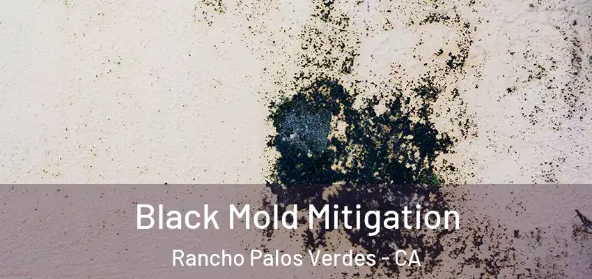  Black Mold Mitigation Rancho Palos Verdes - CA