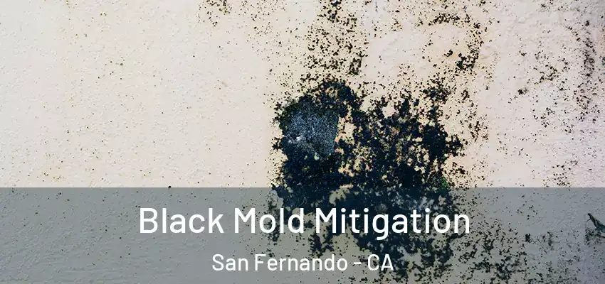 Black Mold Mitigation San Fernando - CA