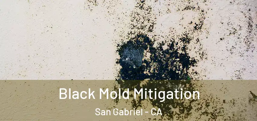  Black Mold Mitigation San Gabriel - CA